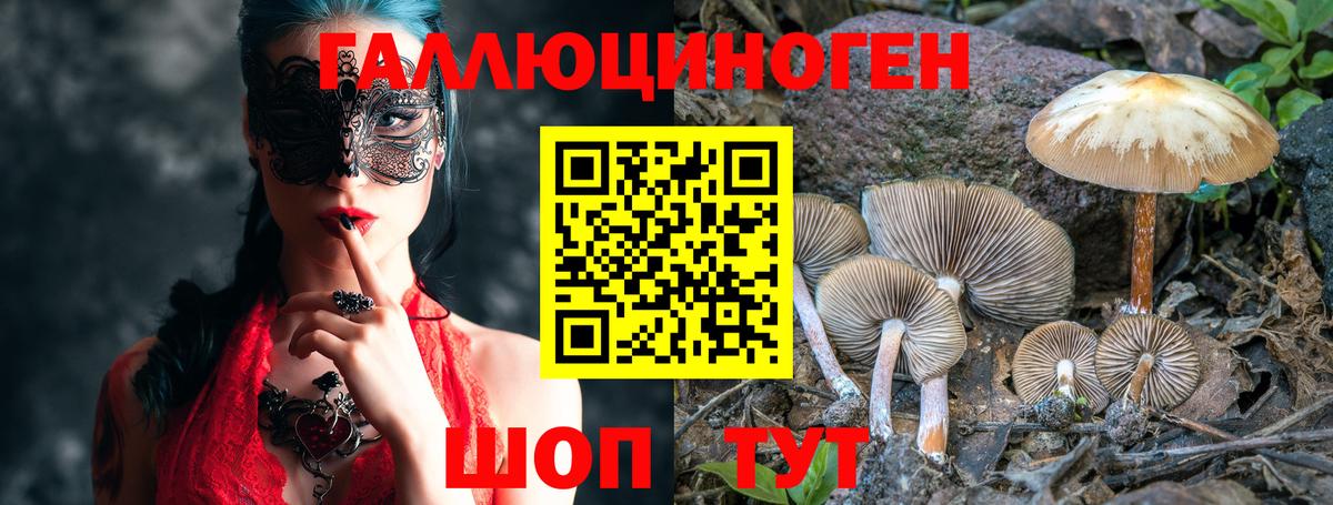 Псилоцибиновые грибы мицелий  Грязи 